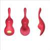 Вибратор в трусики CNT Take Over-The Violin CNT-580006A