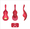 Вибратор в трусики CNT Take Over-The Violin CNT-580006A